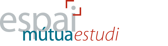 Espai m�tua estudi