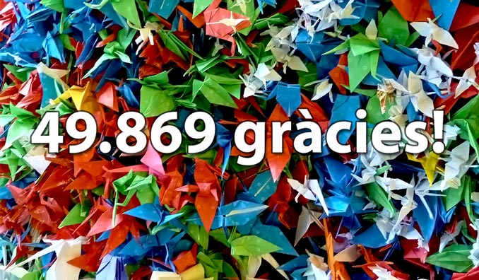 49869 gracies