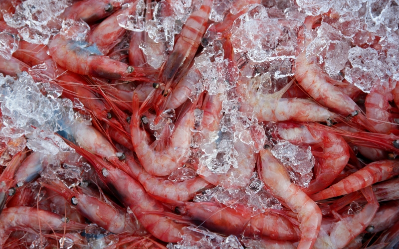 gambas