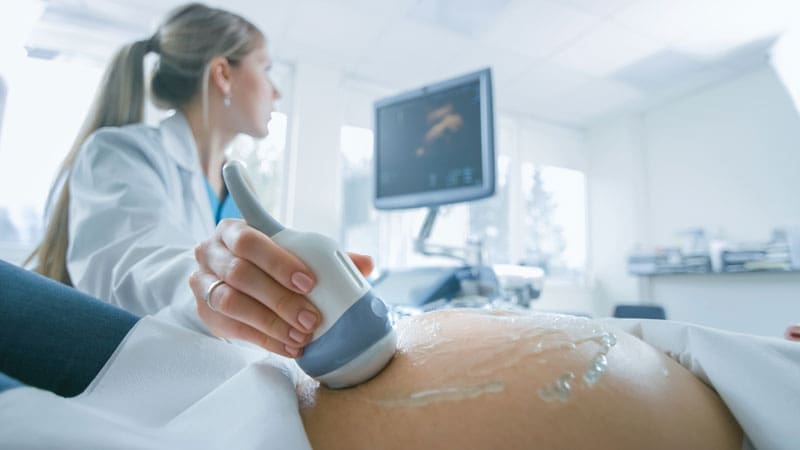 ¿Qué es la obstetricia y qué función cumple el obstetra durante el embarazo?