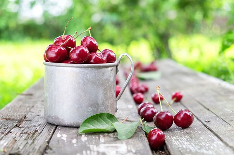 Cerezas: fuente de salud