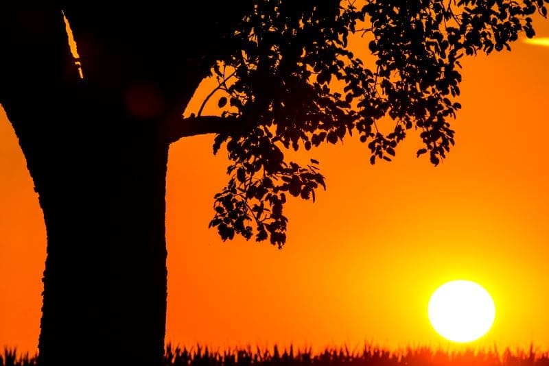 13 trucos para mantenerte fresco durante una ola de calor