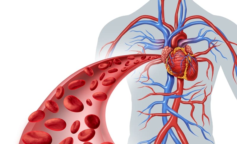 Aproximació a la tensió arterial normal: quins en són els valors ideals?